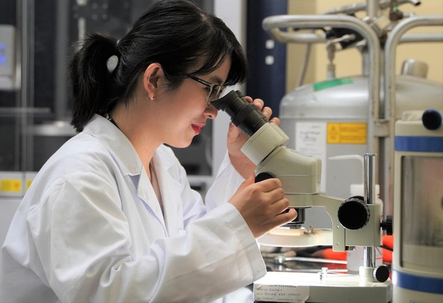 Trần Thị Như Hoa